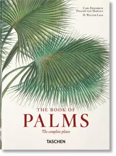 El libro de las palmeras