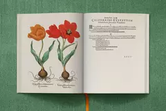 Basilius Besler en internet