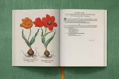 Imagen de The Garden at Eichstätt ( 3 volúmenes)