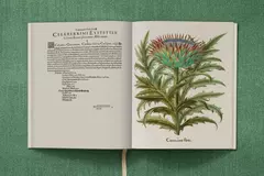 The Garden at Eichstätt ( 3 volúmenes) - comprar online
