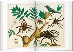 Seba. Cabinet of Natural Curiosities