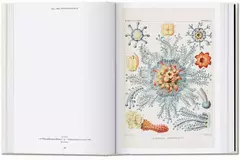 Ernst Haeckel - tienda online