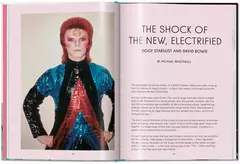 The Rise of David Bowie en internet