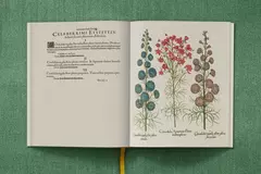 Basilius Besler en internet