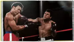 The Fight