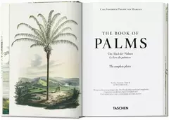 El libro de las palmeras - comprar online