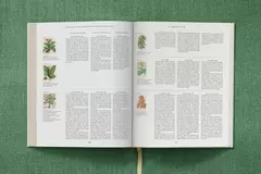 Imagen de Basilius Besler
