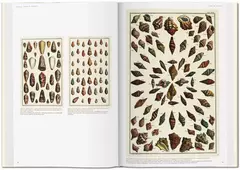 Imagen de Seba. Cabinet of Natural Curiosities