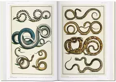 Seba. Cabinet of Natural Curiosities en internet