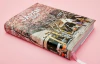 Japan 1900 - comprar online