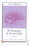 RELAMPAGOS DE LO INVISIBLE - comprar online