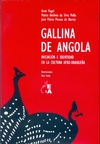 Gallina de Angola