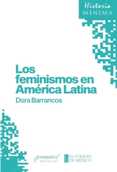 FEMINISMOS EN AMERICA LATINA, LOS.