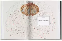 Ernst Haeckel en internet