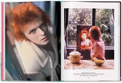 The Rise of David Bowie - Librería Medio Pan y un Libro