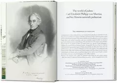 El libro de las palmeras en internet