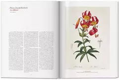 A garden Eden - tienda online