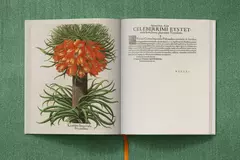 The Garden at Eichstätt ( 3 volúmenes) - tienda online