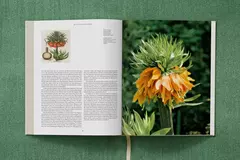 The Garden at Eichstätt ( 3 volúmenes) - comprar online