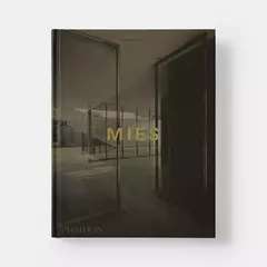Mies en internet