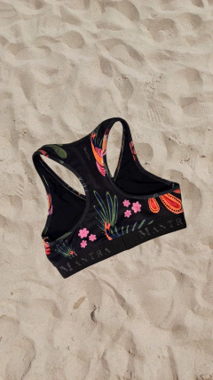 TOP EMA CIRO en internet