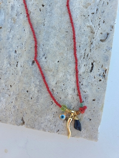 Collar Frena - comprar online