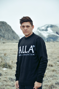 Snow Flakes Sweater na internet