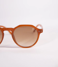 PALM VIEW na internet