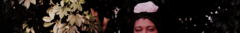 Banner da categoria TODAS