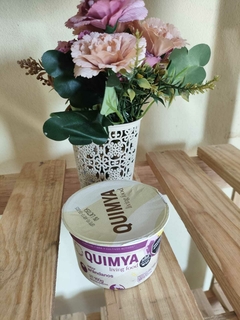 Yogurt a base de coco - comprar online
