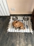 ALFOMBRA PERRITO - comprar online