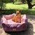 Cama para perros Luxury Invierno - Violeta-Rosa - comprar online