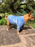 Sky - Welpe - Camas, Butacas y Accesorios para Mascotas