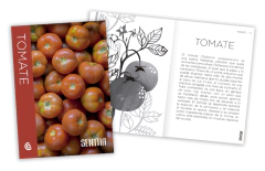 SENTTIA - TOMATE en internet