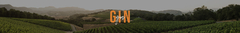 Banner de la categoría Copas Gin Exclusive (transparentes)