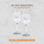 Gin Ginkgo Experiencia Box Con Copas Grabadas - SyM Bebidas - Regalos