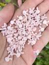 Kit Mini aplique cabecinha coelho acrílico (20 unidades)