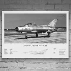 Lámina infográfica MIG 21