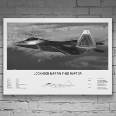 Lámina infográfica F22 Raptor