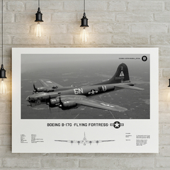 Lámina infográfica Boeing B-17 Flying Fortress