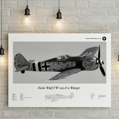 Lámina infográfica Focke Wulf 190 A