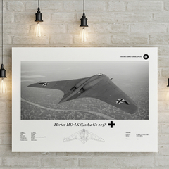 Lámina infográfica Horten HO 229