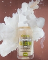 Blindagem Glow Gold - Fixação de Milhões em poucos minutos - Dapop