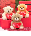 Urso de Pelúcia com Coração Amor - 20 cm