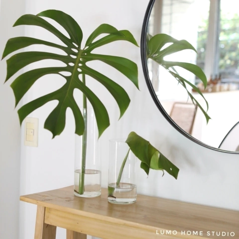 Florero Peonía (4 medidas)