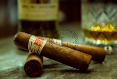 Hoyo de Monterrey Epicure Nro 2 en internet
