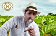 Casa Turrent Toro Miami - Cepo 54 - Fortaleza Suave - Tiempo de Fumada 30 min en internet