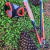 Bastones Carbono Trail running tsl