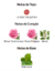 Miss Dior Eau de Toilette – Dior (Decant) - Gabriela Perfumes