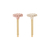 Pulidor Composite Diacomp Plus Twist Para Brillo